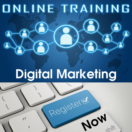 SEO Online Training